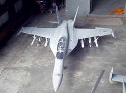 IMGP0929